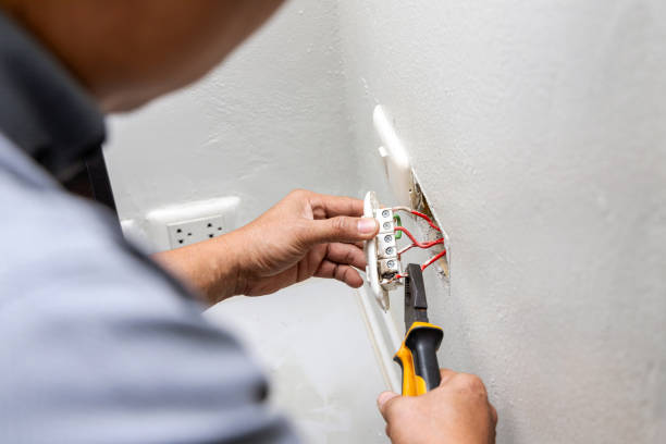 Best Electric Panel Repair  in Winfield, IL